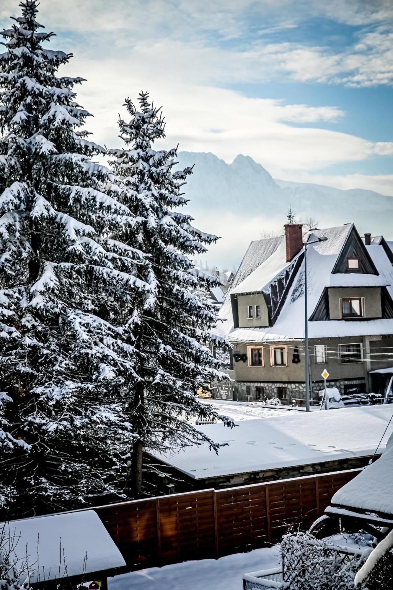 Bed and Breakfast Tatarek Закопане Екстер'єр фото